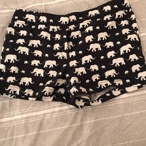 Shorts from Loft